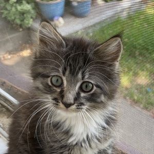 Meet your Posher, Maile